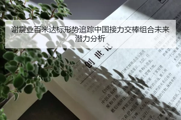 谢震业百米达标形势追踪中国接力交棒组合未来潜力分析