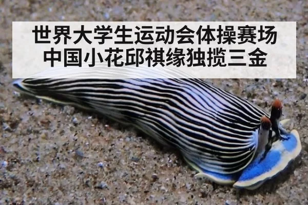 世界大学生运动会体操赛场 中国小花邱祺缘独揽三金（yaxin）