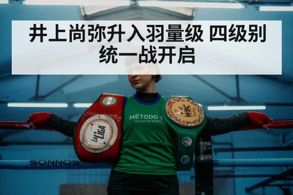 boxing ring gold belt