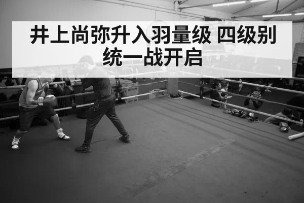 boxer training gym