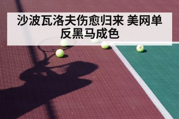 沙波瓦洛夫伤愈归来 美网单反黑马成色