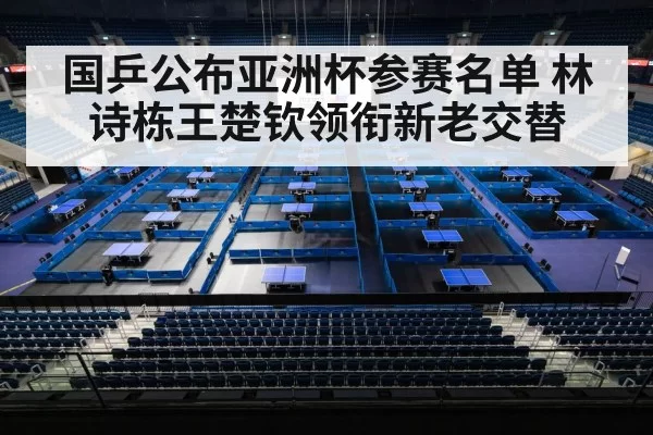 table tennis tournament