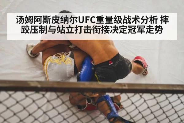 汤姆阿斯皮纳尔UFC重量级战术分析 摔跤压制与站立打击衔接决定冠军走势